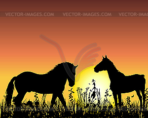 Horse on sunset background - vector clip art