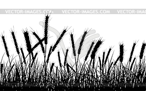 Пшеница и травы - иллюстрация в векторном формате