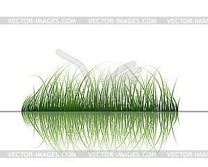 Grass on water - vector clipart