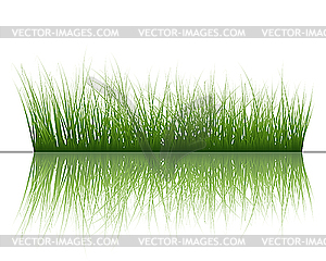 Grass on water - vector clipart / vector image