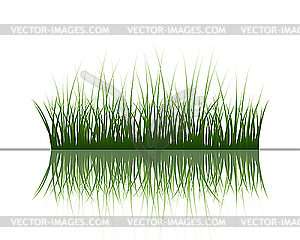 Grass on water - vector image