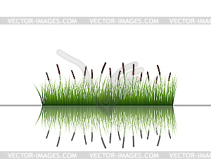 Grass on water - vector clipart