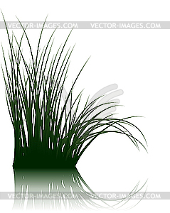 Grass on water - vector clipart
