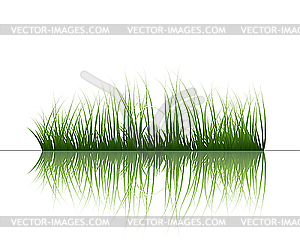 Grass on water - vector clipart