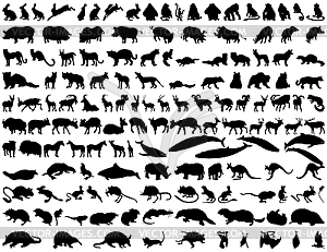 Animals - vector image