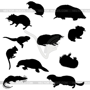 Beavers silhouettes set - vector image