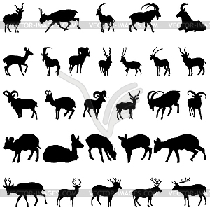 Deer and goats silhouettes set - vector clip art