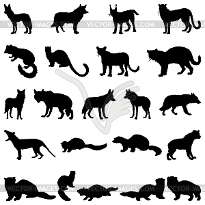 Wolves and martens silhouettes set - vector image