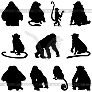 Apes silhouettes set - vector image