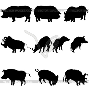 Pigs and boars silhouettes set - vector image