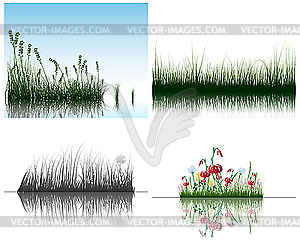 Grass on water - vector clipart