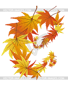 Twisted leaves - vector clip art