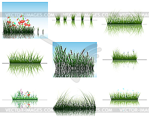 Grass on water - vector clipart