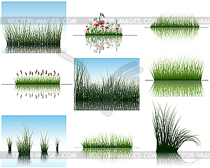 Grass on water - vector clip art