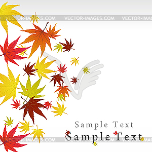 Autumn leaves - vector clipart