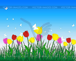 Tulips - vector clipart