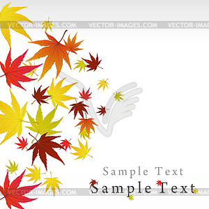 Autumn leaves - vector image