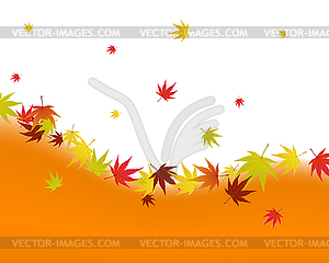 Autumn leaves - vector clipart