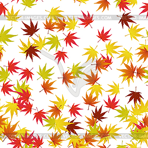 Осенние листья - изображение в векторном формате