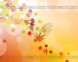 Maples leaves - vector clipart