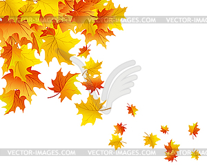Осенний фон с кленовыми листьями - изображение в векторном формате