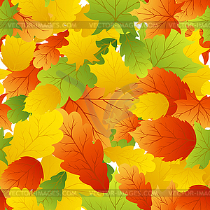 Maples leaves seamless - vector image