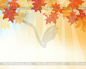 Autumn background - vector image