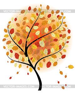 Осенние клены - изображение в векторном формате