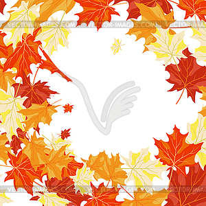Autumn maples - vector clip art