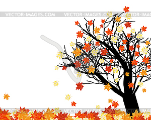 Autumn maples - vector clipart
