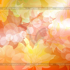 Autumn maples - vector clip art