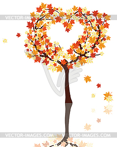 Autumn maples - vector clip art