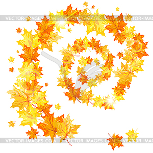 Осенний клен - изображение в векторе