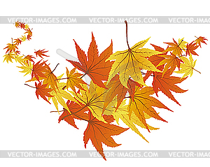 Autumn leaves - vector image