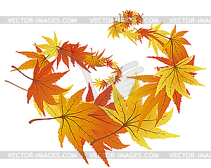 Autumn leaves - vector image