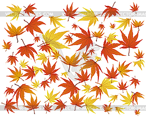 Autumn leaves - vector clipart