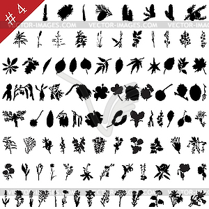 Plants set - vector image