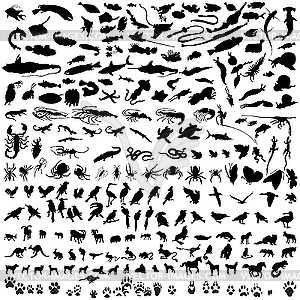 Set of animal silhouettes - vector clipart