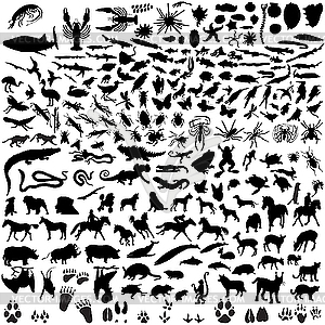 Set of animal silhouettes - vector image