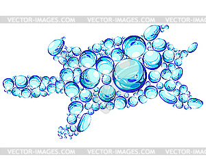 Bubbles turtle - vector image