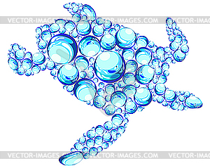 Bubbles turtle - vector image