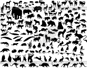 Animals - vector image