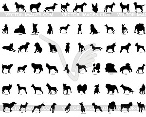 Silhouettes of dogs - vector image