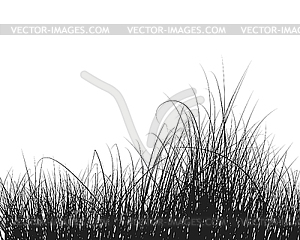 Grass - vector image