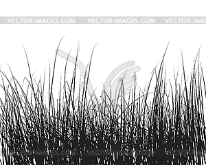 Grass - vector clipart