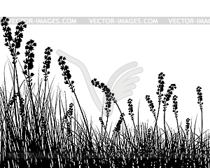 Grass silhouette - vector clipart