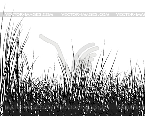 Grass silhouette - vector clipart