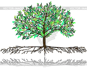 Blossom tree - vector clipart