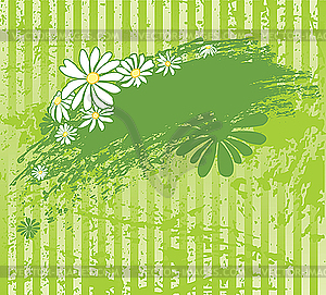 Green grunge background with chamomiles - vector clipart