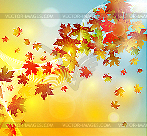 Autumn leaves background - vector image